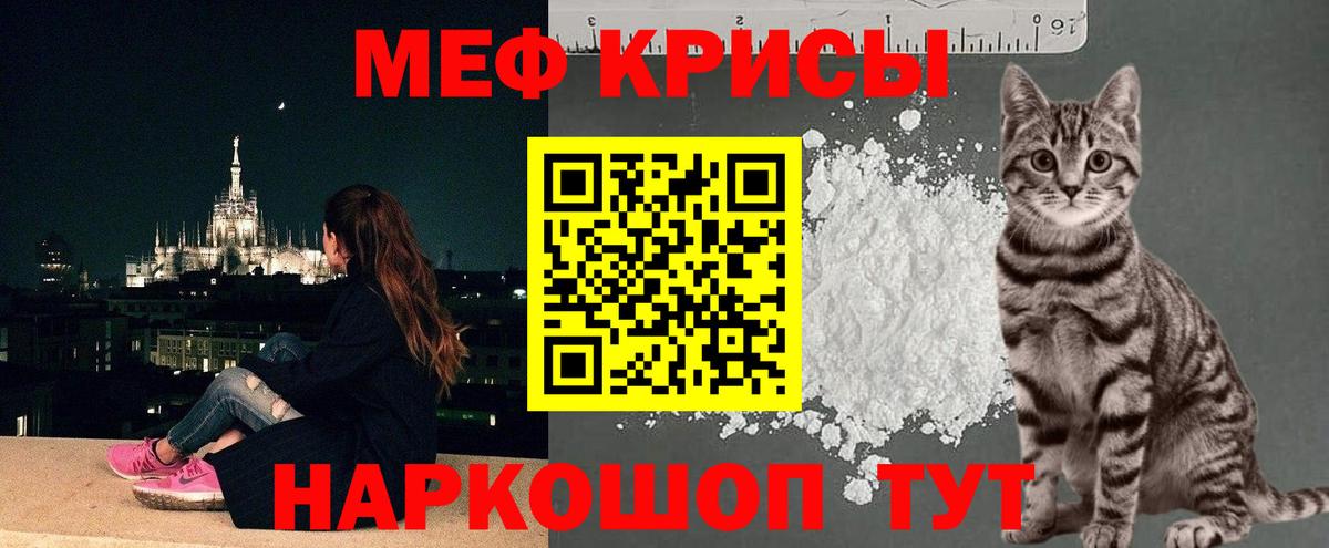 МЕФ  Элиста