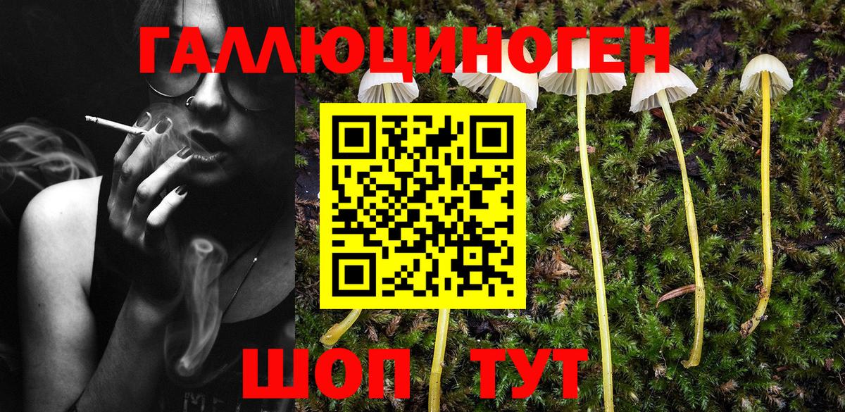 Элиста  Галлюциногенные грибы Psilocybine cubensis  Псилоцибиновые грибы GOLDEN TEACHER  Вход с VPN 